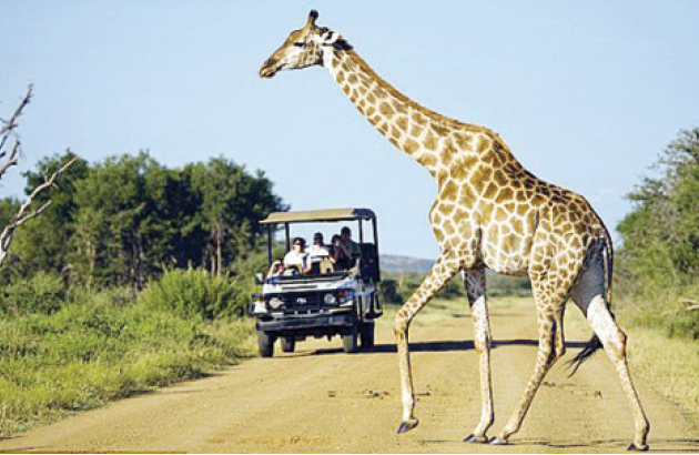 Covid-19 travel restrictions devastate Africa’s tourism