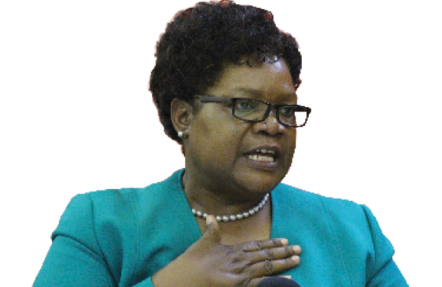 Mujuru: putting cart before the horse