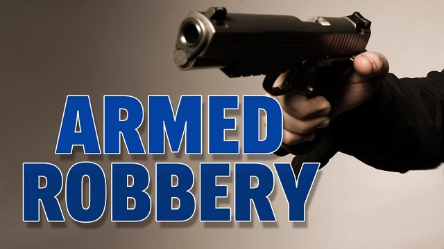 Four armed robbers get away with car and a television set