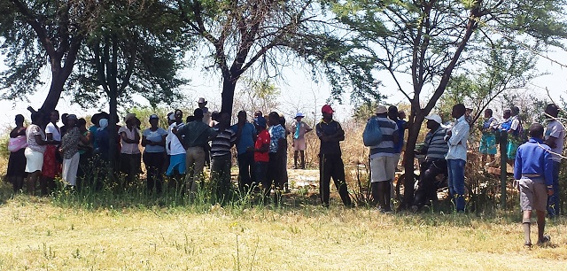 Curious Nketa and Emganwini residents gather at the place where the Grade Six pupil allegedly hanged himself in Bulawayo yesterday