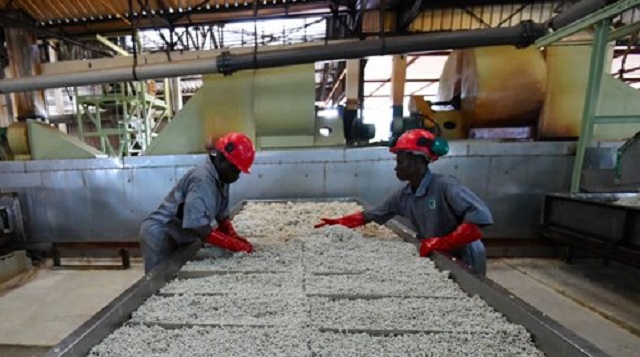 Workers at a rubber processing plant