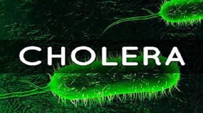 Kwekwe on cholera high alert