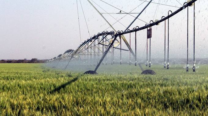 Mat’land farmers happy with new wheat producer price