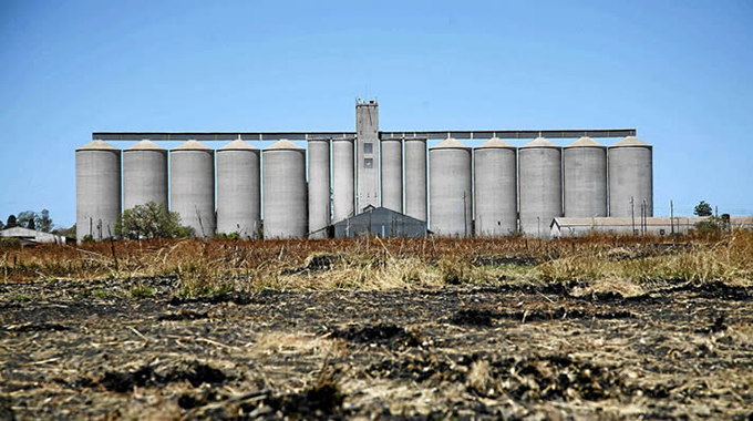 Wheat deliveries to Grain Marketing Board top 190 000t