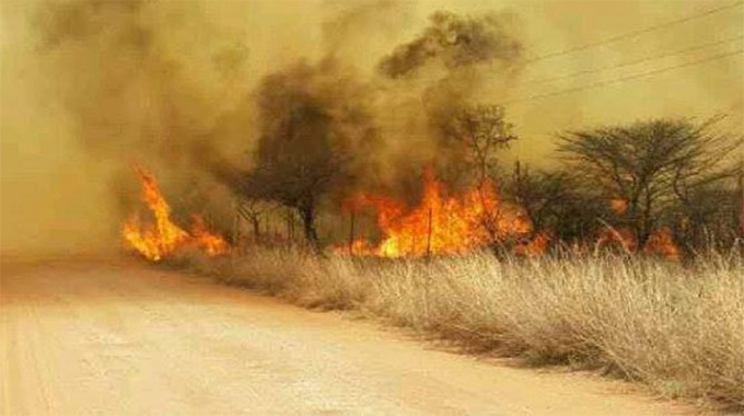 EMA doubles efforts to combat veld fires