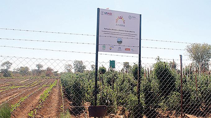 Solar garden changes lives in rural Gwanda