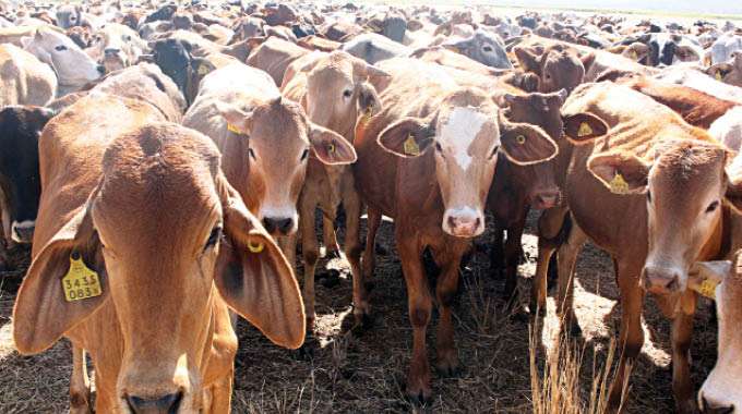 Government, Matopos Research partner to boost livestock production