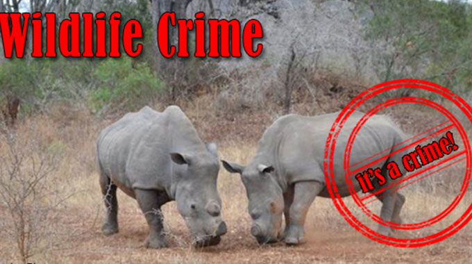 Sadc urged to harmonise laws to fight wildlife crimes