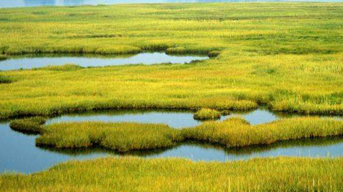 ‘Wetlands masterplan to boost environment management‘