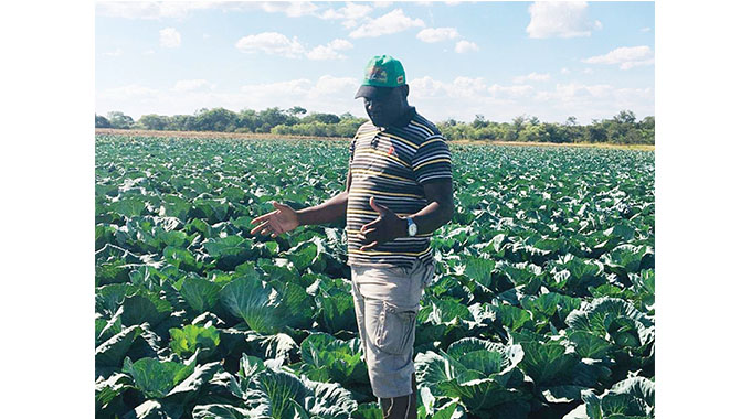 Digital agriculture benefits Zim’s farmers but mobile money is costly