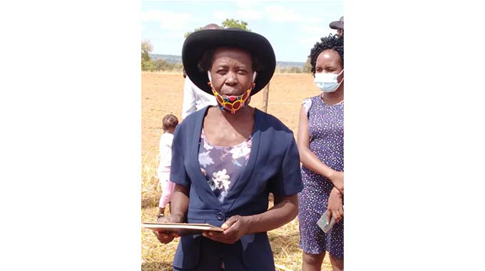 Farmer beats drought with Intwasa