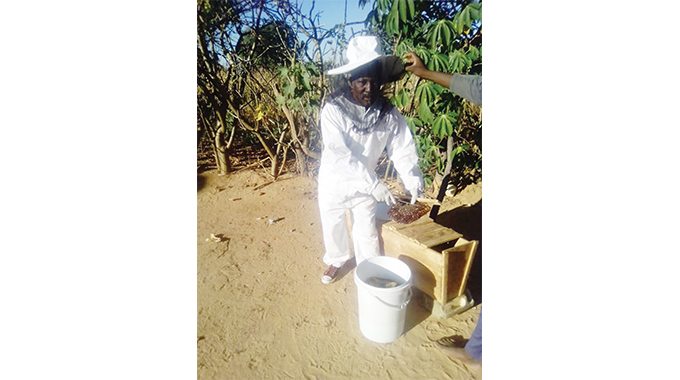 Khumalo, renowned beekeeper