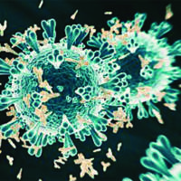 COVID-19: 31 more succumb to deadly virus
