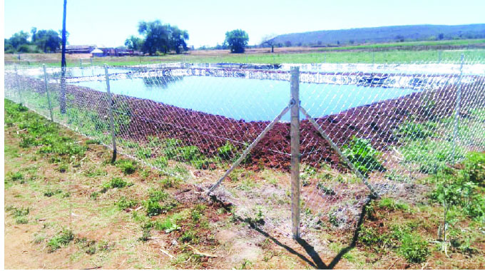 12 Matabeleland dams set for fisheries programme