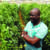 46-year-old accountant  takes up agriculture