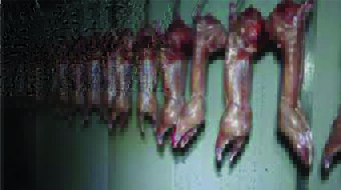 Chinese embassy to assist rabbit producer secure market for its meat