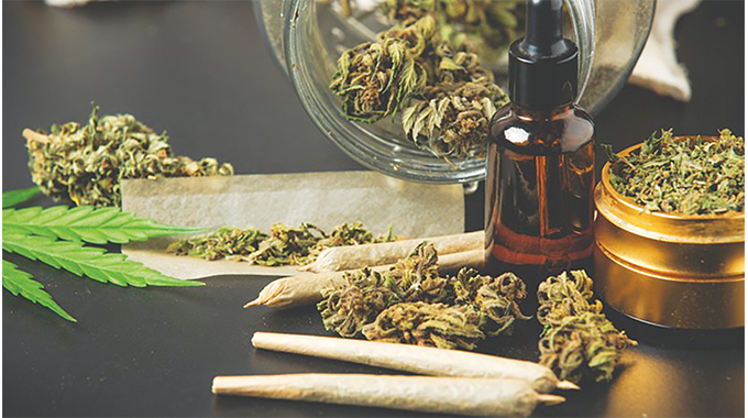 2nd Republic unlocks potential of medicinal cannabis