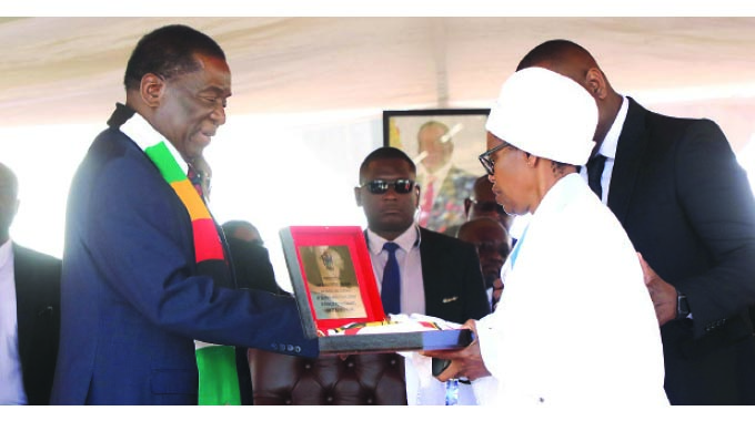 ‘Zimbabwe brooks no interference’