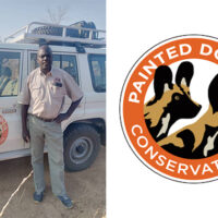 Zimbabwean wildlife ranger wins prestigious global award